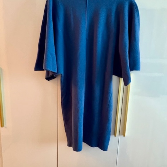 Merino Wool - Flutter Sleeve Sweater Dress. Very soft - Picture 3 of 5
